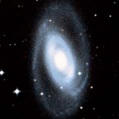 NGC 1350