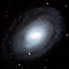 NGC 1371