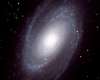 The M81 Group