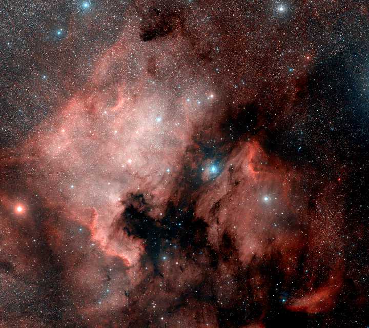 NGC7000 - The North America nebula and Pelican nebula
